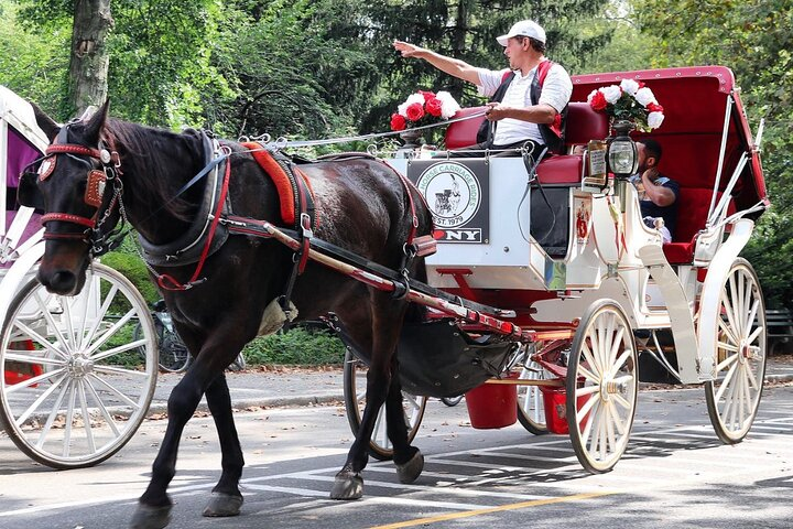 Experience the charm of Central Park with a delightful carriage ride. Journey past iconic landmarks relishing the sights and sounds of New York City while making unforgettable memories.
